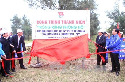 Phó Thủ tướng Chính phủ Trương Hoà Bình dự lễ phát động Tết trồng cây - ảnh 1